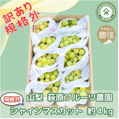 【2026年先行予約】山梨・萩原フルーツ農園の訳ありシャインマスカット(規格外 約4kg)【配送不可地域：離島】