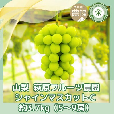 【2026年先行予約】山梨・萩原フルーツ農園のシャインマスカット C(約3.7kg 5～9房)【配送不可地域：離島】
