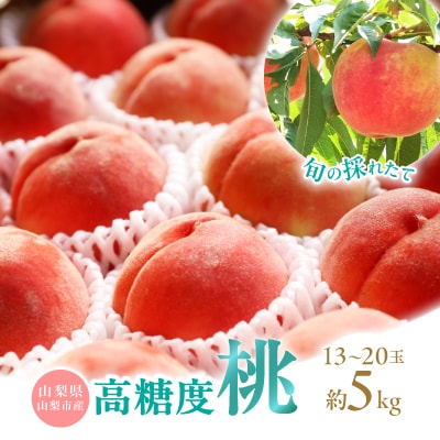 【2026年発送先行受付】山梨県山梨市産　旬の採れたて高糖度桃　約5kg(13～20玉)【配送不可地域：離島・沖縄県】