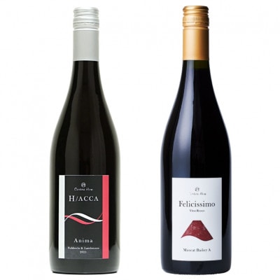 カンティーナ・ヒロ【アニマ・フェリチッシモ】赤ワイン2本セット