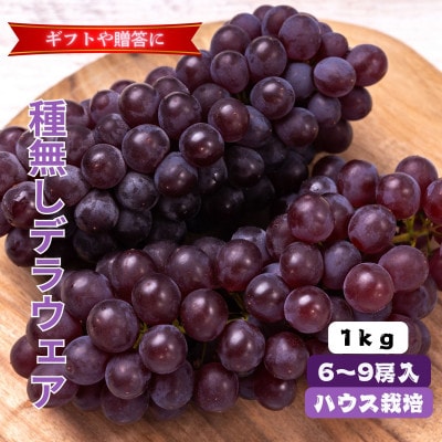 山梨市産ハウスデラウェア  1kg (6～9房)【配送不可地域：離島】