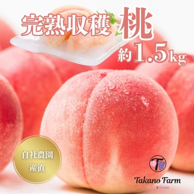【2026年先行予約】完熟収穫桃 約1.5kg 山梨県産 自社農園産直!【配送不可地域：離島】