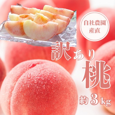 【2026年先行予約】【訳あり】完熟収穫桃 約3kg 山梨県産 自社農園産直!【配送不可地域：離島】