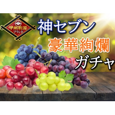 【甲州戦国高級ブランド葡萄】圧倒的人気トップ7食べ比べガチャセット約1kg2種　2026年予約【配送不可地域：離島】
