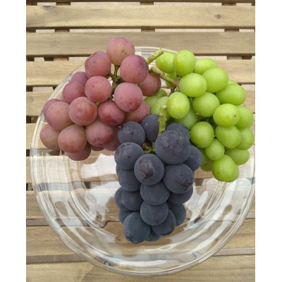 【2026年先行受付】皮ごと食べられるぶどう3色詰め合わせ 約1kg(3房)【配送不可地域：離島】