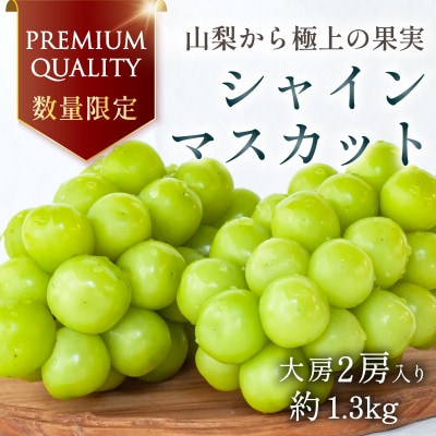 【2026年発送分先行受付】数量限定 特選 プレミアムシャインマスカット 大房2房 山梨から産地直送【配送不可地域：離島】