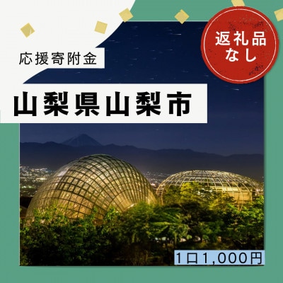 【返礼品なし】山梨県山梨市への応援寄附金(1口1,000円)