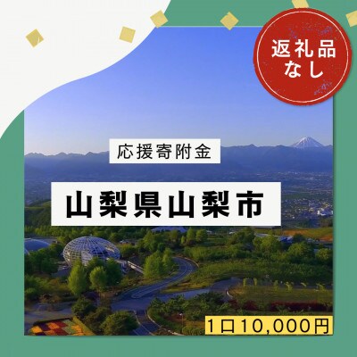 【返礼品なし】山梨県山梨市への応援寄附金(1口10,000円)