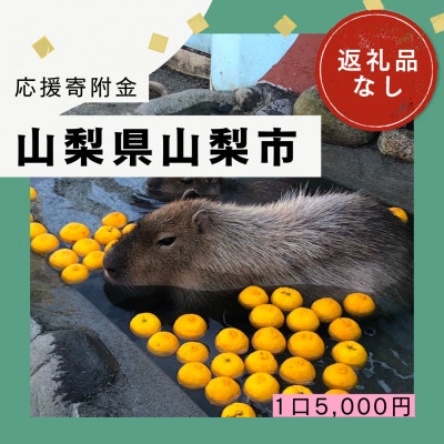 【返礼品なし】山梨県山梨市への応援寄附金(1口5,000円)