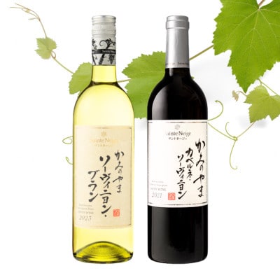 サントネージュワインが贈るカベルネ・ソーヴィニヨン/ソーヴィニヨン・ブラン赤白2本セット