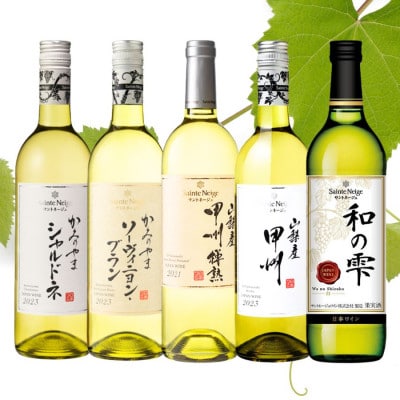 サントネージュワイン白ワイン5本セット