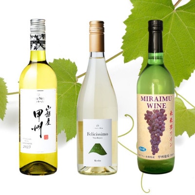 山梨市おすすめ白ワイン3本セット(2)