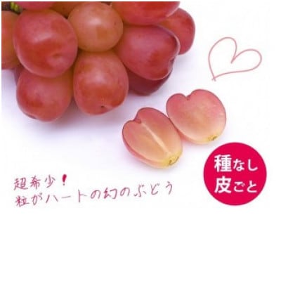 【2026年9月上旬より発送予定】マイハート1房 500g以上 ハート形のかわいい葡萄【配送不可地域：離島】