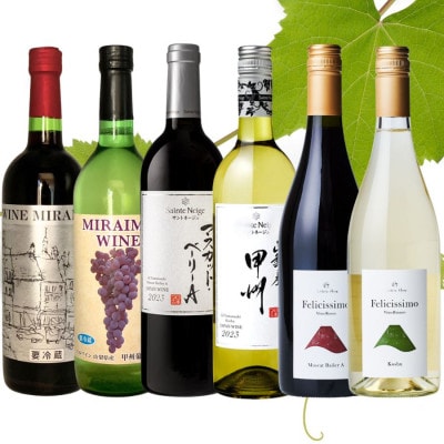 山梨市おすすめ赤白ワイン6本セット
