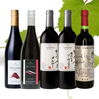 山梨市品種別赤ワイン5本セット