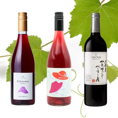 山梨市産マスカットベーリーA　3本セット