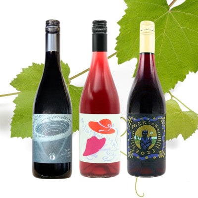 三養醸造が贈るおすすめ赤ワイン3本セット