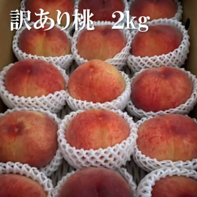 2026年 先行受付【訳あり】桃 2kg以上【配送不可地域：離島】