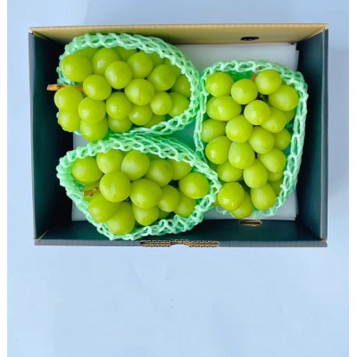 ★2026年度発送　シャインマスカット2.0kg相当【配送不可地域：離島・沖縄県】