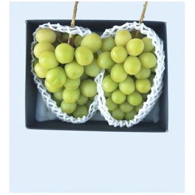 ★2026年度発送　シャインマスカット1.0kg相当【配送不可地域：離島・沖縄県】