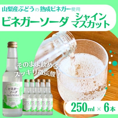 山梨産ぶどう100%の熟成ビネガーの、そのまま飲める「ビネガーソーダシャインマスカット6本セット」