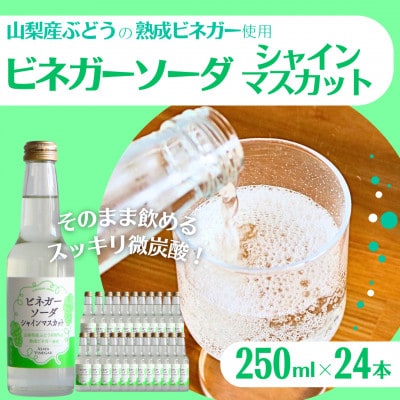 山梨産ぶどう100%の熟成ビネガーの、そのまま飲める「ビネガーソーダシャインマスカット24本セット」