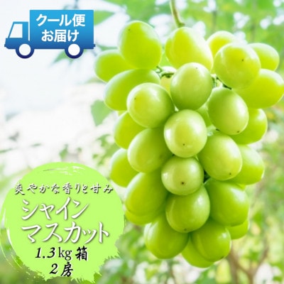 先行予約　2026年発送分　山梨県山梨市　安心のクール便発送　シャインマスカット 1.3kg 　2房【配送不可地域：離島・沖縄県】