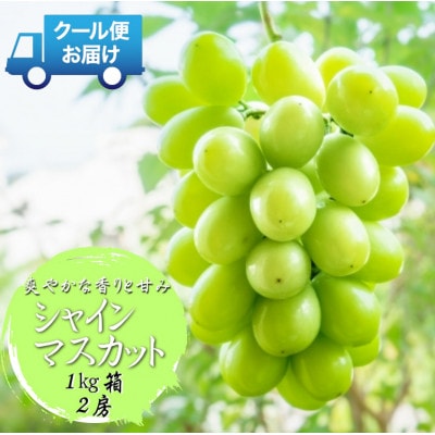 先行予約　2026年発送分　山梨県 山梨市　安心のクール便発送　シャインマスカット 1kg 　2房【配送不可地域：離島・沖縄県】