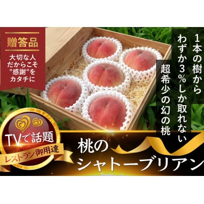 【お家で一流レストラン御用達】桃通を唸らせる『幻のシャトーブリアン桃』2026年8月下旬より順次発送【配送不可地域：離島・北海道・沖縄県・中国・四国・九州】