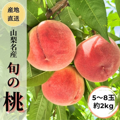 ◆2026年発送◆産地直送 桃の里よりお届け!旬の桃 5～8玉(約2kg)【配送不可地域：離島】