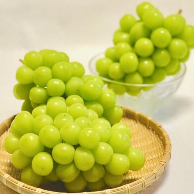 【2026年先行受付】訳あり!生産者直送シャインマスカット 計1kg【味には妥協なし!】【配送不可地域：離島】