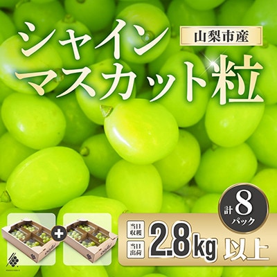 【先行受付2026年発送】 シャインマスカット 粒 約2.8kg 【訳あり】ぶどう 粒カット【配送不可地域：離島・沖縄県】
