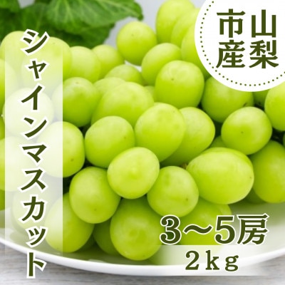 【2026年先行受付】やみつきシャインマスカット 2kg(3～5房)【配送不可地域：離島】