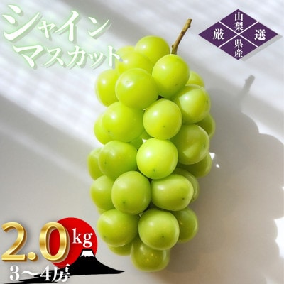 【2026年発送 先行受付】山梨県山梨市産 朝採れ シャインマスカット 2.0kg (3～4房)【配送不可地域：離島・沖縄県】