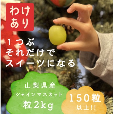 【年内発送】【訳あり】冬に食べられる シャインマスカット 粒 (2kg以上) 山梨産【配送不可地域：離島・沖縄県】