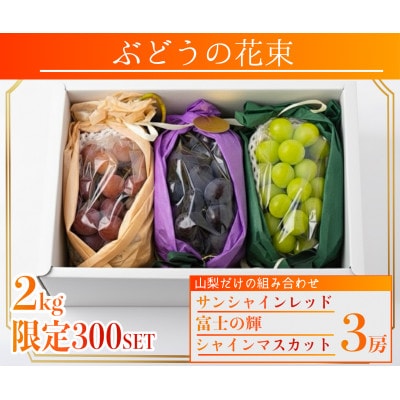 【2026年先行予約】サンシャインレッド 富士の輝 シャインマスカット 2kg 3房(各1房)【配送不可地域：離島】