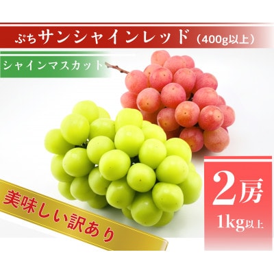 【2026年先行予約】サンシャインレッドとシャインマスカット　美味しい訳あり計1kg詰め合わせ【配送不可地域：離島】