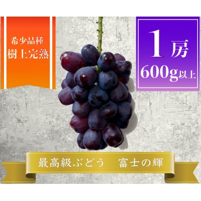【2026年先行予約】富士の輝 計600g 1房 山梨県産【配送不可地域：離島】