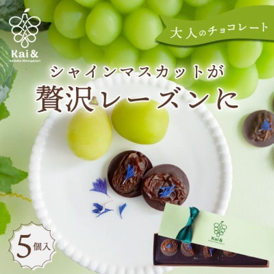 シャインマスカットレーズンのチョコレートマンディアン 5個入 山梨県産シャインマスカット使用