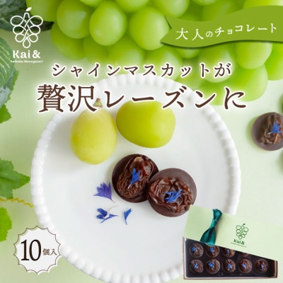 シャインマスカットレーズンのチョコレートマンディアン 10個入 山梨県産シャインマスカット使用