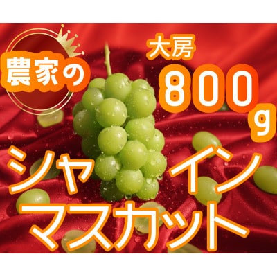 【2026年先行予約】シャインマスカット 1房 800g 小さな農家のこだわりシャイン【配送不可地域：離島】