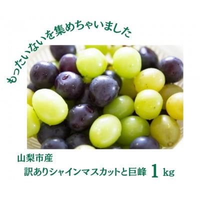 【2026年先行受付】訳あり カット シャインマスカット カット 巨峰 計1kg【配送不可地域：離島・沖縄県】