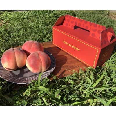 【果汁が弾ける初夏の宝石 日川白鳳】本場山梨品種指定キャンペーン1kg　6月中旬より順次発送【配送不可地域：離島・北海道・沖縄県・中国・四国・九州】