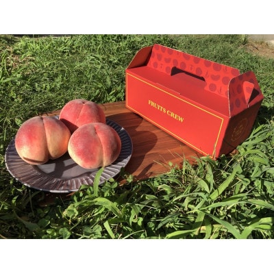 【むっちり高糖度夏の甘味王　嶺鳳】本場山梨の品種指定キャンペーンお試し約1kg　7月上旬より順次発送【配送不可地域：離島・北海道・沖縄県・中国・四国・九州】