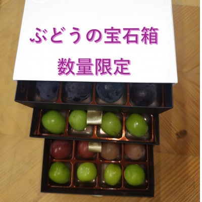 【2026年先行受付】ぶどうが光り輝く宝石に!!牧丘天空の丘ブランドぶどうの宝石箱 約700g【配送不可地域：離島】