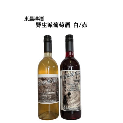 東晨洋酒 野生派葡萄酒 白赤セット 無添加ワイン　合計2本(720ml×各1本)