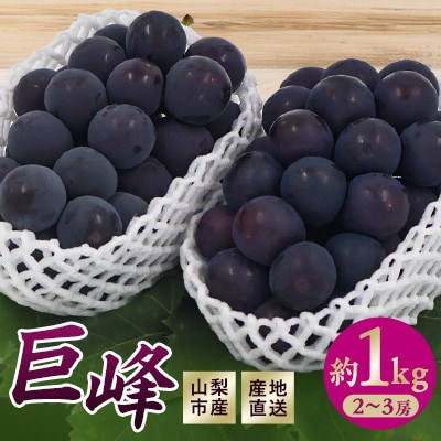 【2026年先行予約】山梨市産　巨峰　約1kg(2～3房)【配送不可地域：離島】
