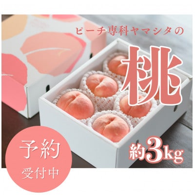 先行受付!【2026年7月発送開始】桃の産地山梨からお届け　ピーチ専科ヤマシタの桃　3kg【配送不可地域：離島】