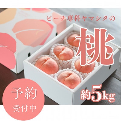 先行受付!【2026年7月発送開始】桃の産地山梨からお届け　ピーチ専科ヤマシタの桃　5kg【配送不可地域：離島】