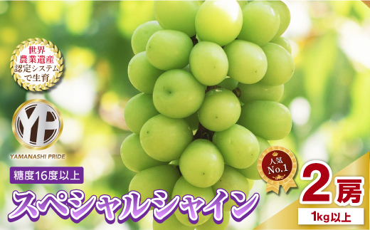 2026年度先行予約 フルーツ王国山梨産厳選 シャインマスカット   2房 (1kg以上)【配送不可地域：離島】